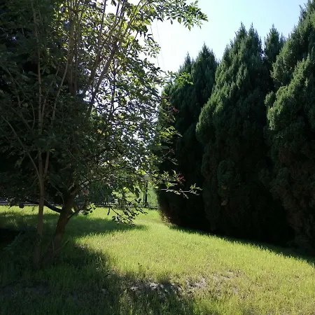 Robi Apartament